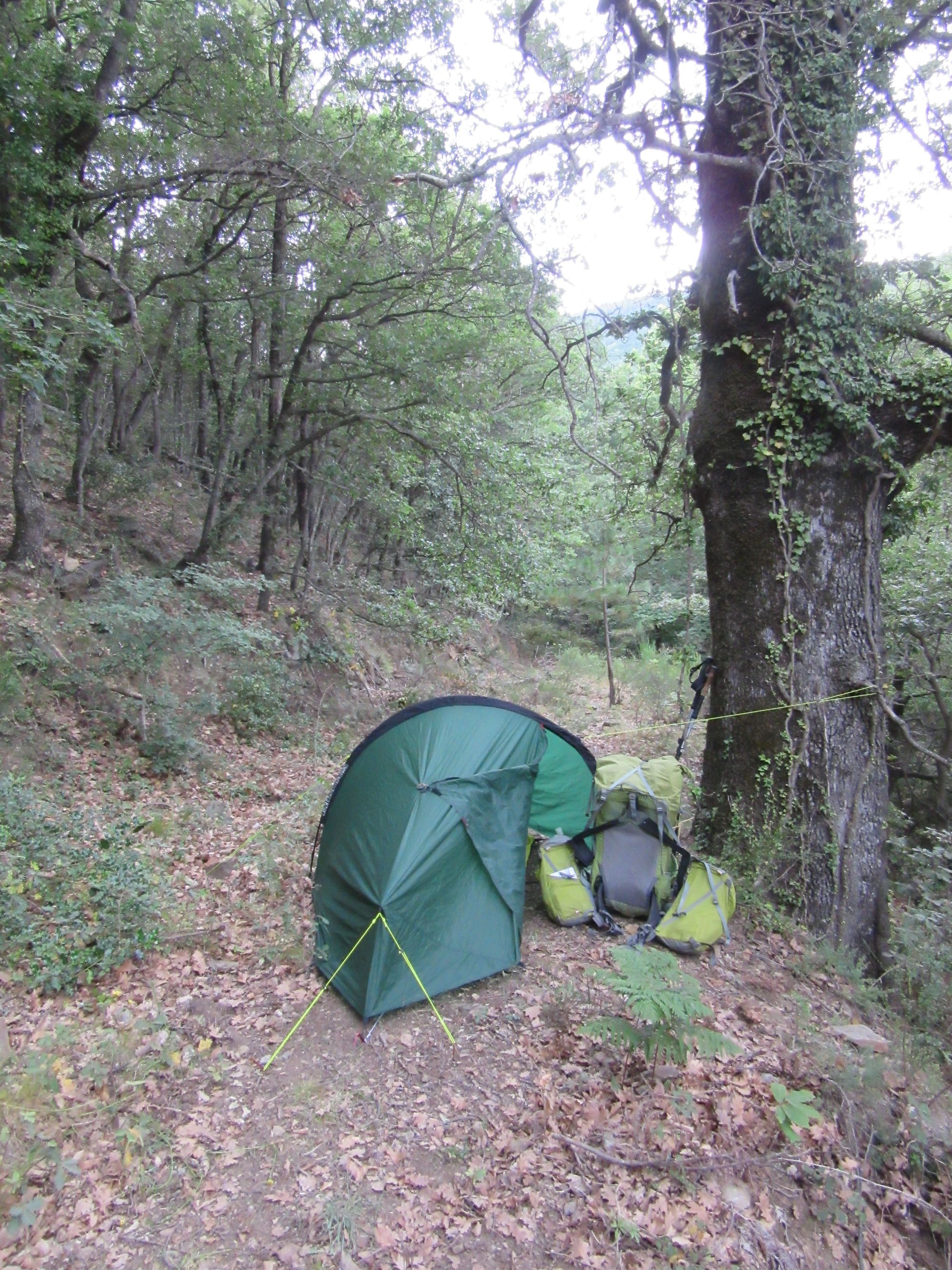 Camped on a bit of old track in the sloping forest above Le Perthus.