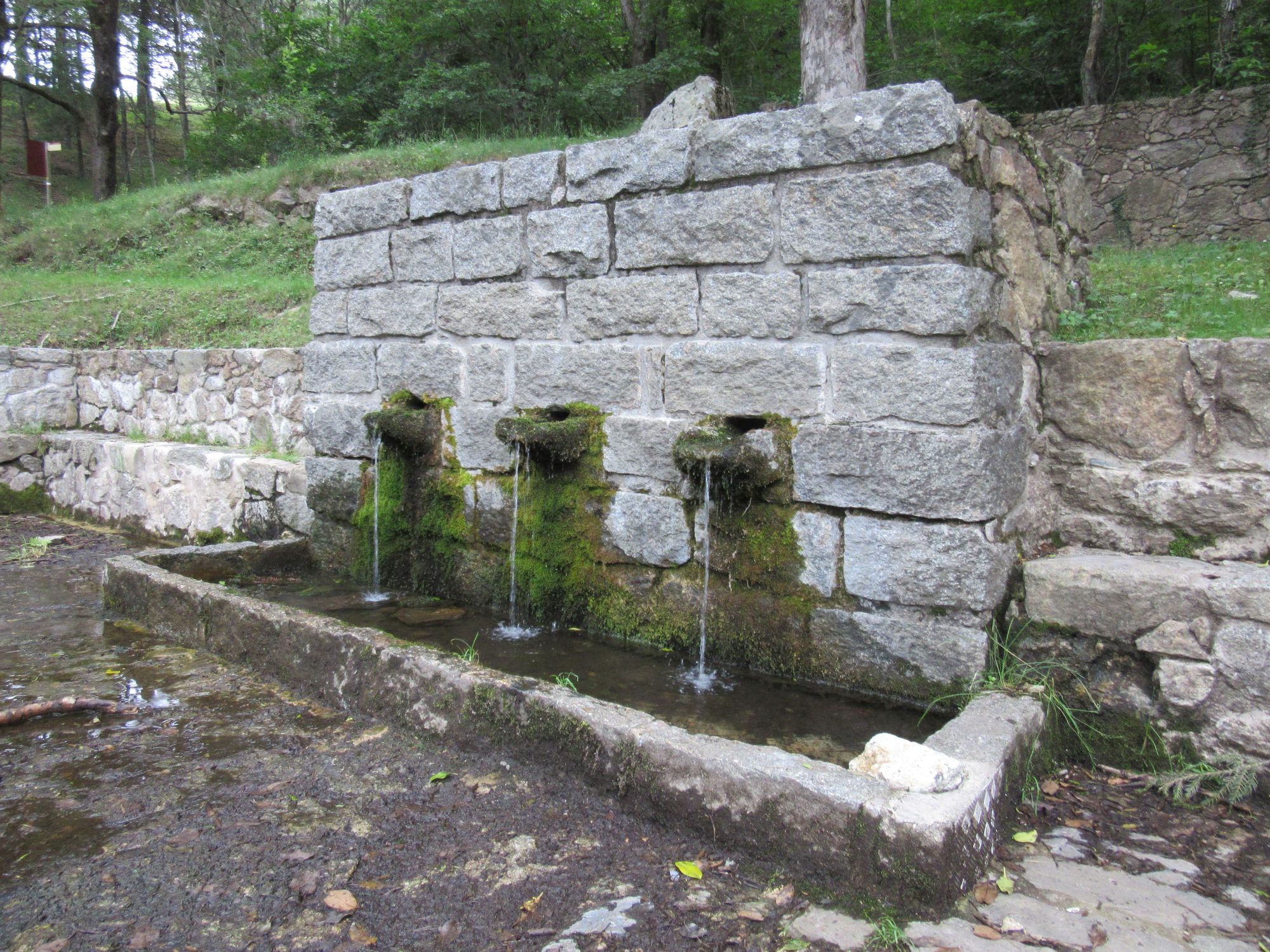 Las Salinas water point.