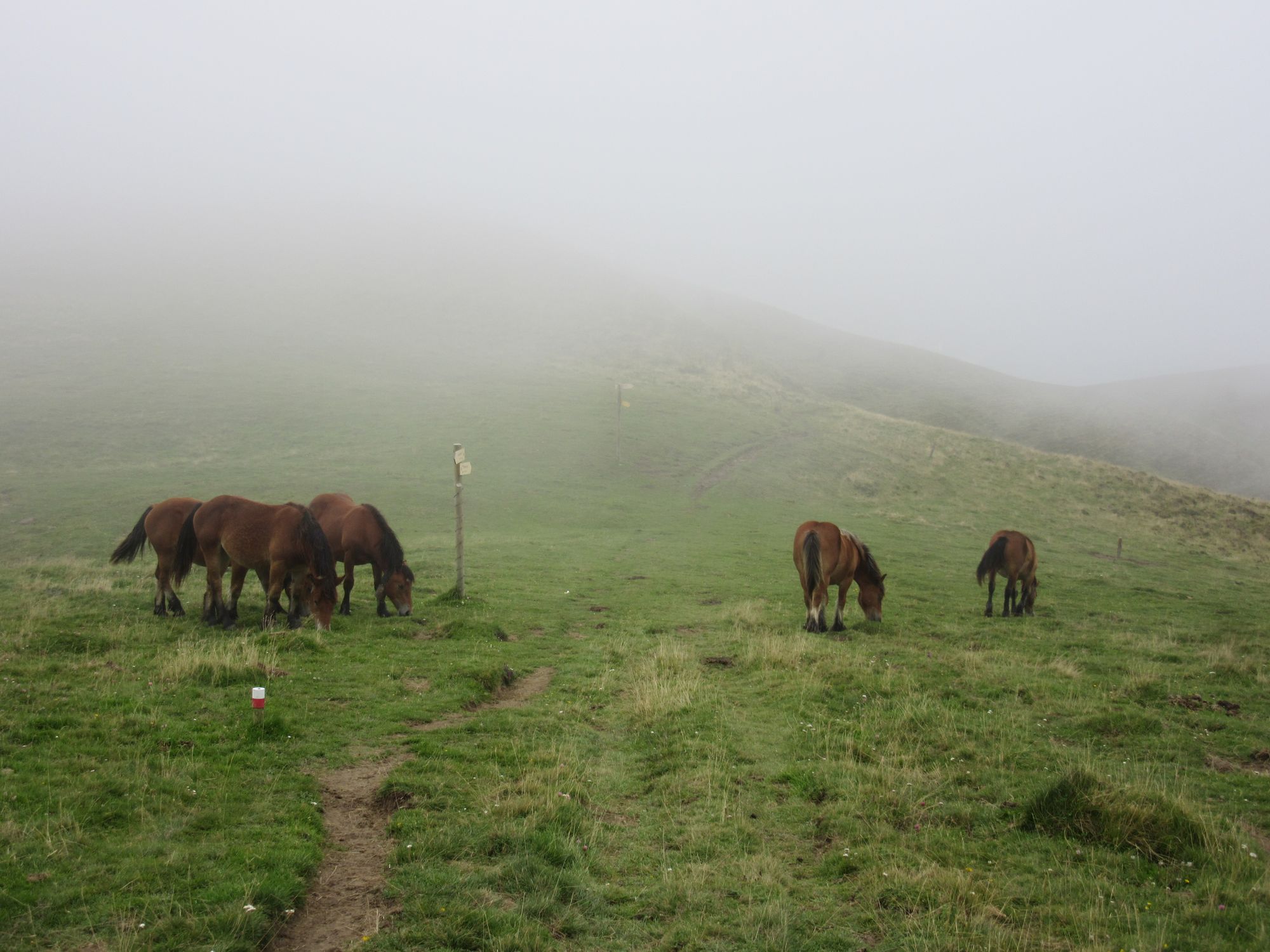 HRP 2023 east-to-west: stage 5 - Lescun to Hendaye