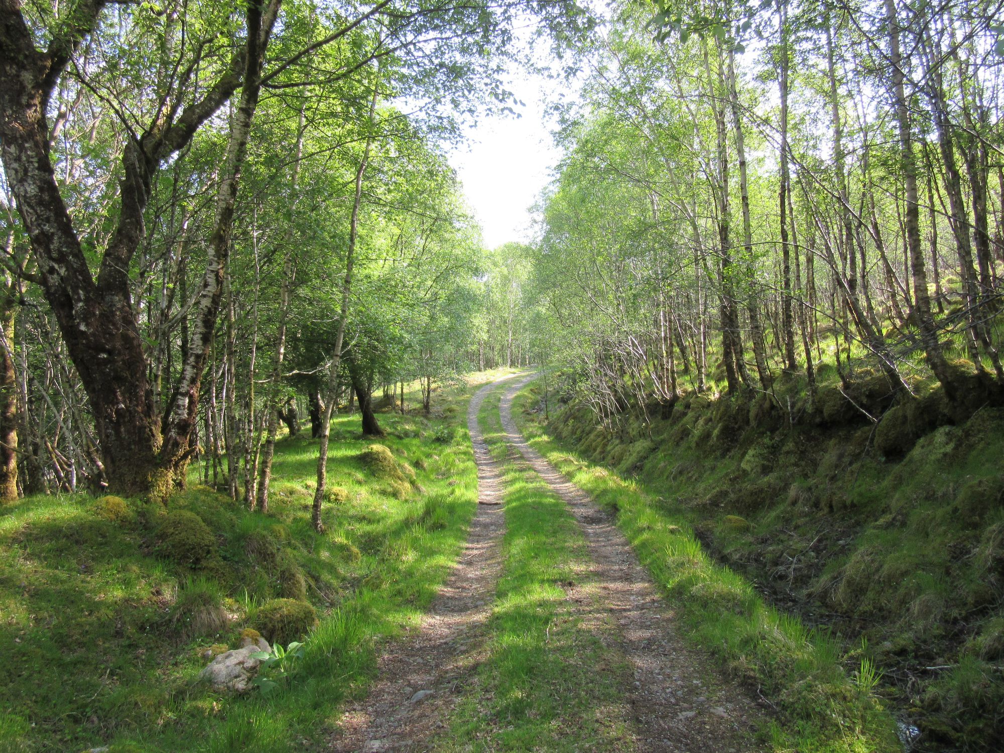 TGO Challenge 2025: Acharacle to Stonehaven via the 4000ers