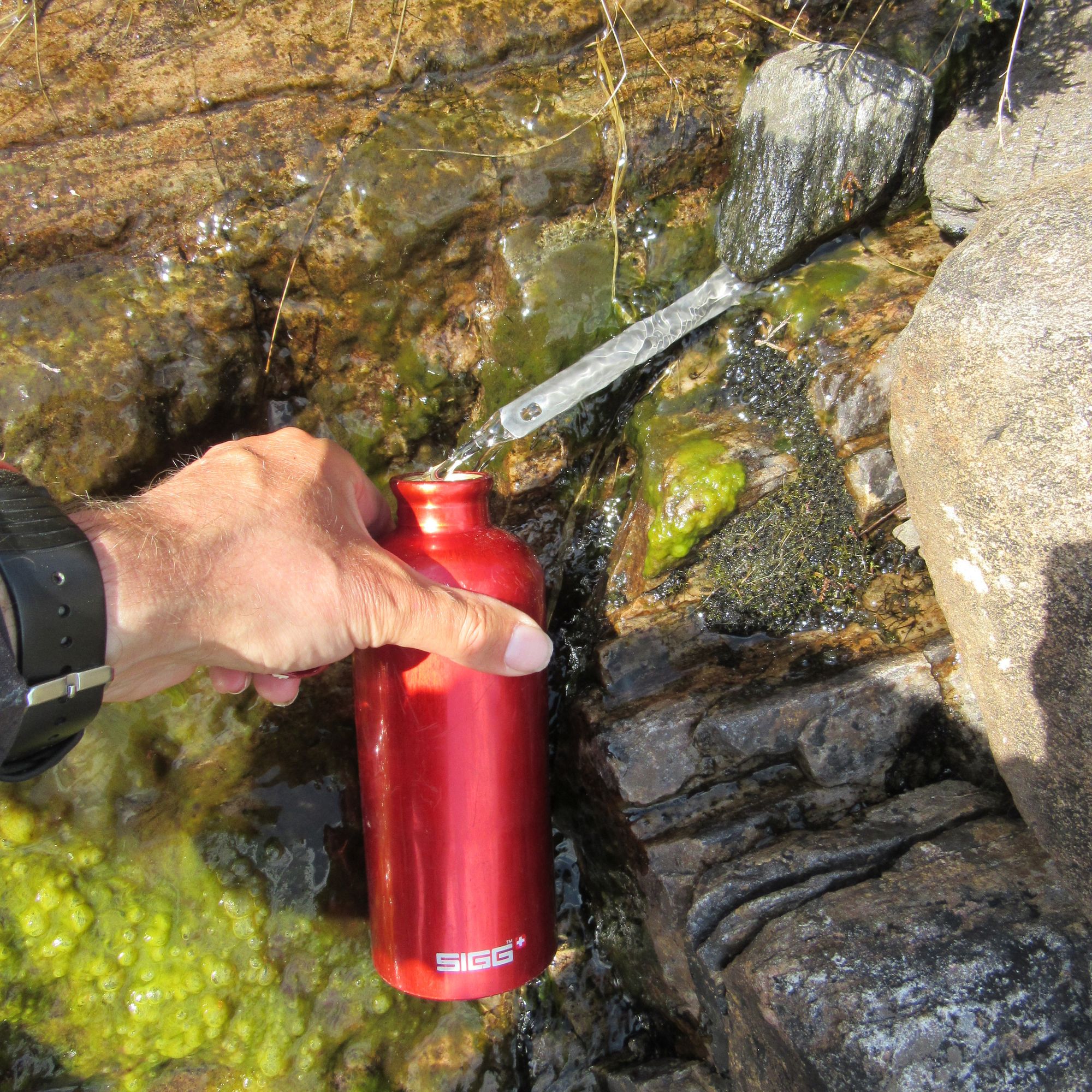 TGO Challenge 2025: Acharacle to Stonehaven via the 4000ers