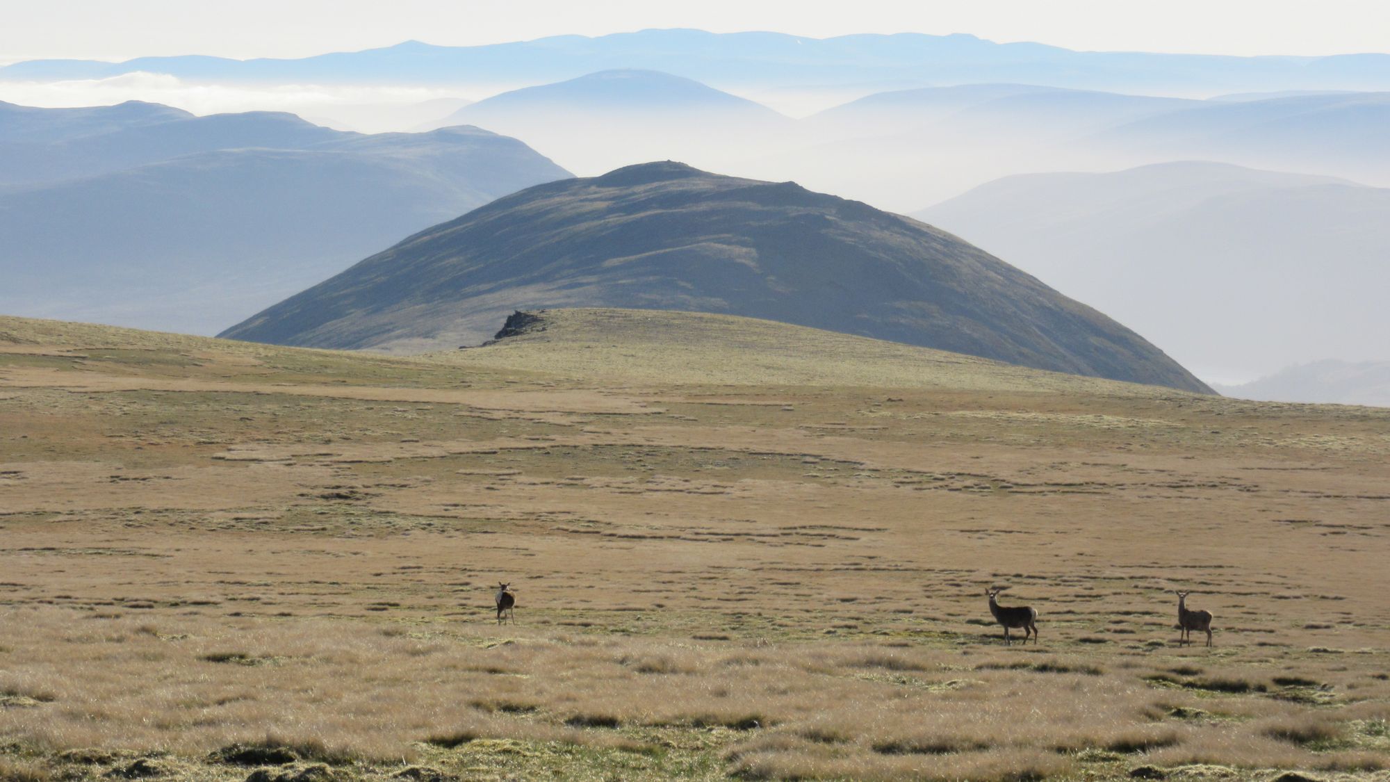 TGO Challenge 2025: Acharacle to Stonehaven via the 4000ers