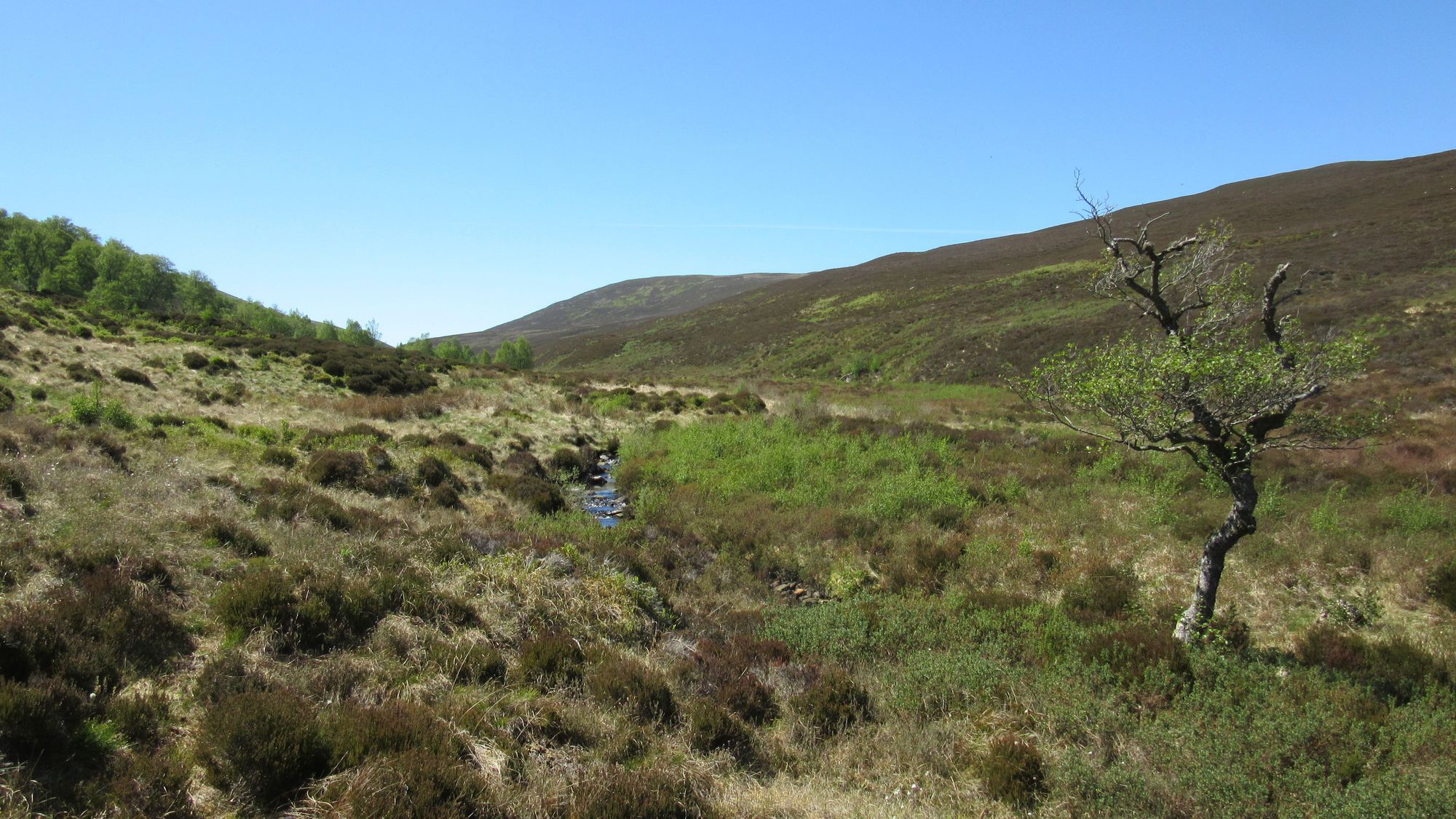 TGO Challenge 2025: Acharacle to Stonehaven via the 4000ers