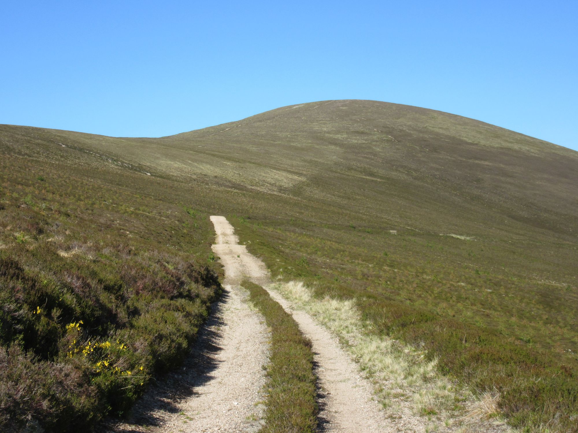 TGO Challenge 2025: Acharacle to Stonehaven via the 4000ers