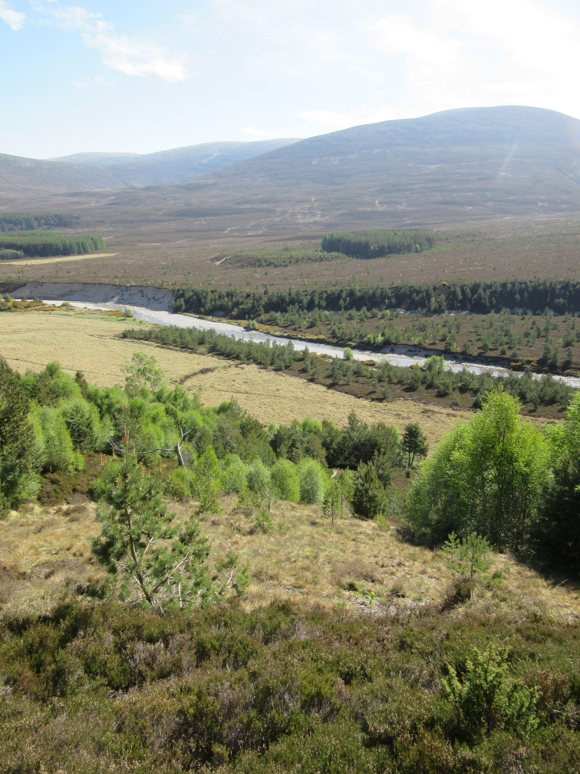 TGO Challenge 2025: Acharacle to Stonehaven via the 4000ers