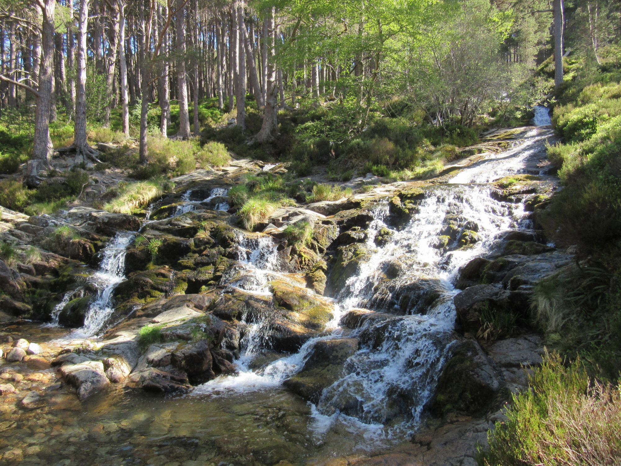 TGO Challenge 2025: Acharacle to Stonehaven via the 4000ers