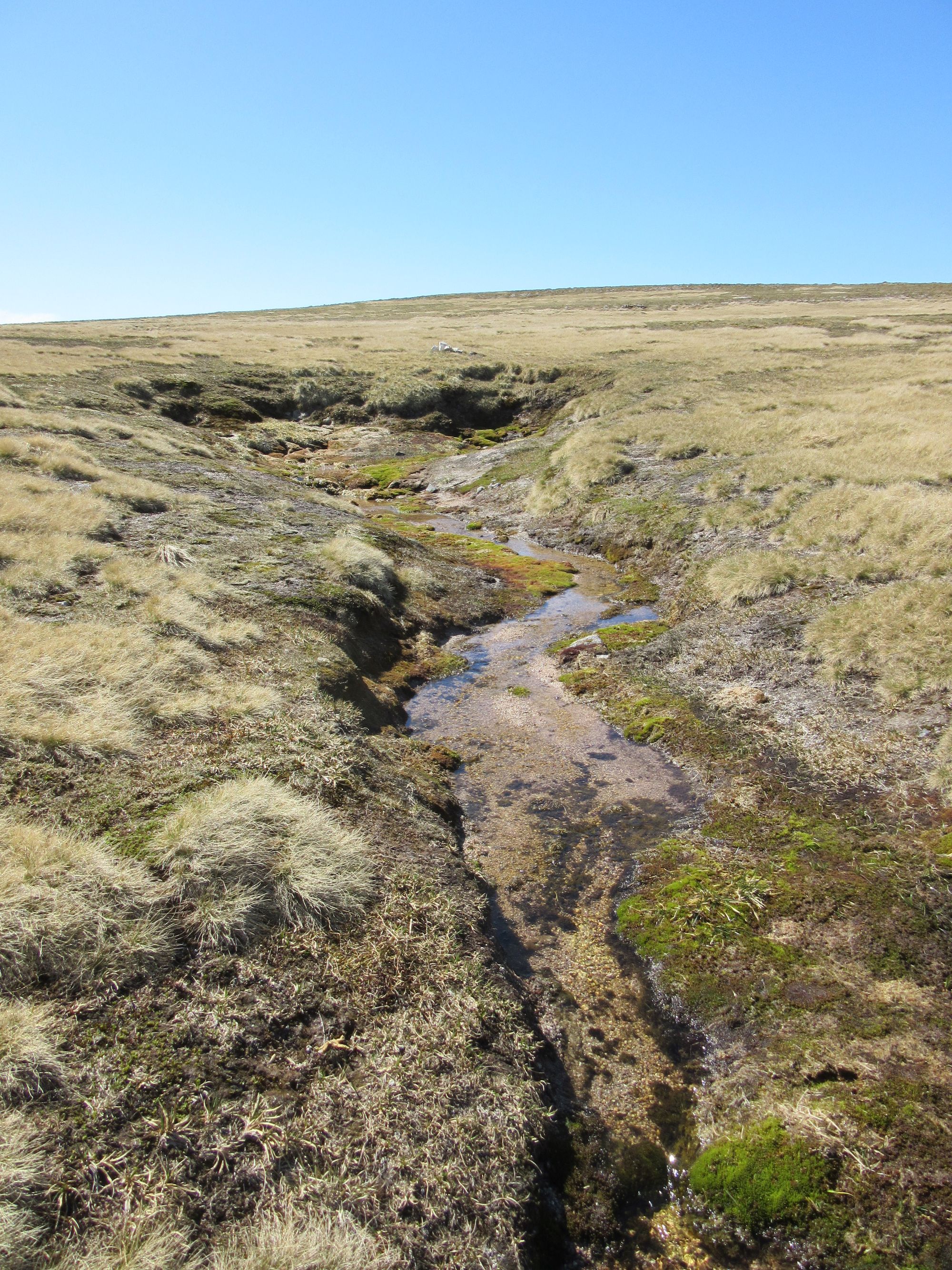 TGO Challenge 2025: Acharacle to Stonehaven via the 4000ers