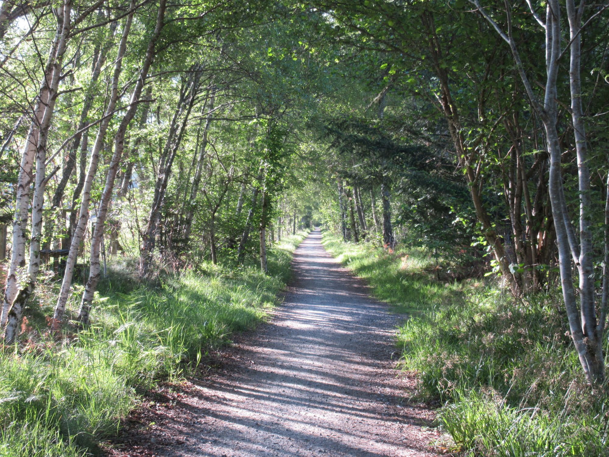 TGO Challenge 2025: Acharacle to Stonehaven via the 4000ers