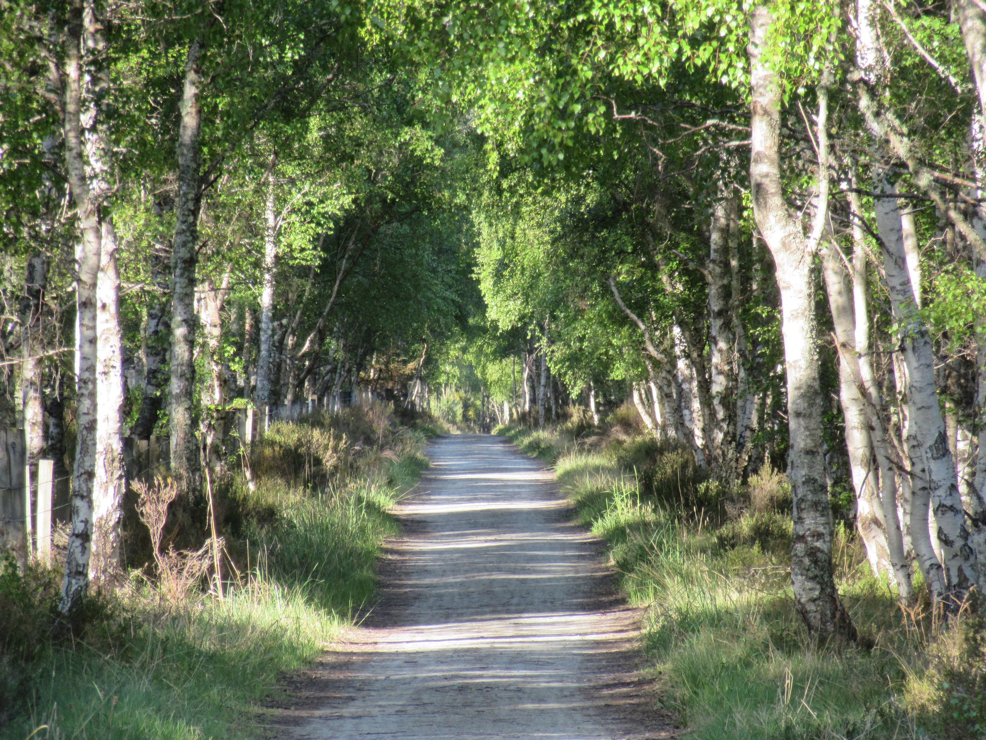 TGO Challenge 2025: Acharacle to Stonehaven via the 4000ers