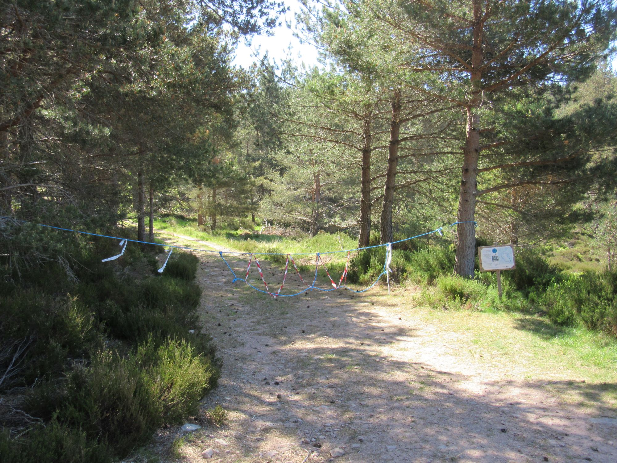 TGO Challenge 2025: Acharacle to Stonehaven via the 4000ers