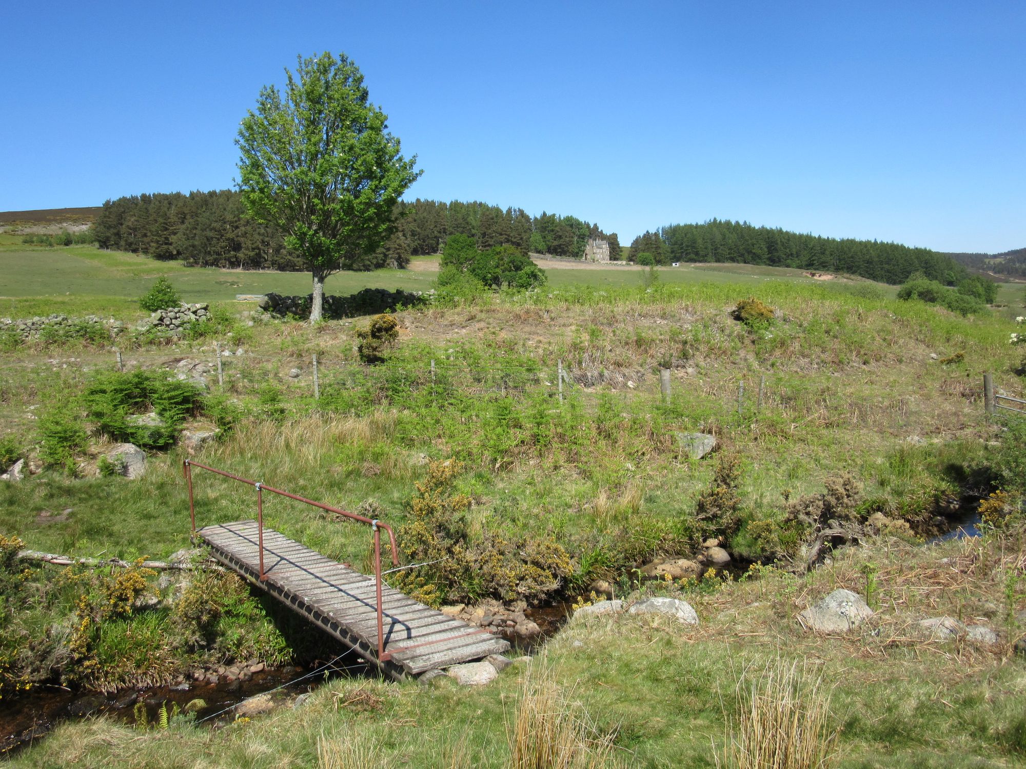 TGO Challenge 2025: Acharacle to Stonehaven via the 4000ers