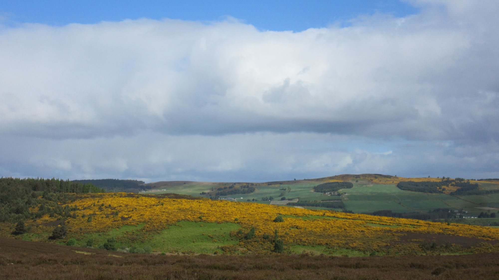 TGO Challenge 2025: Acharacle to Stonehaven via the 4000ers