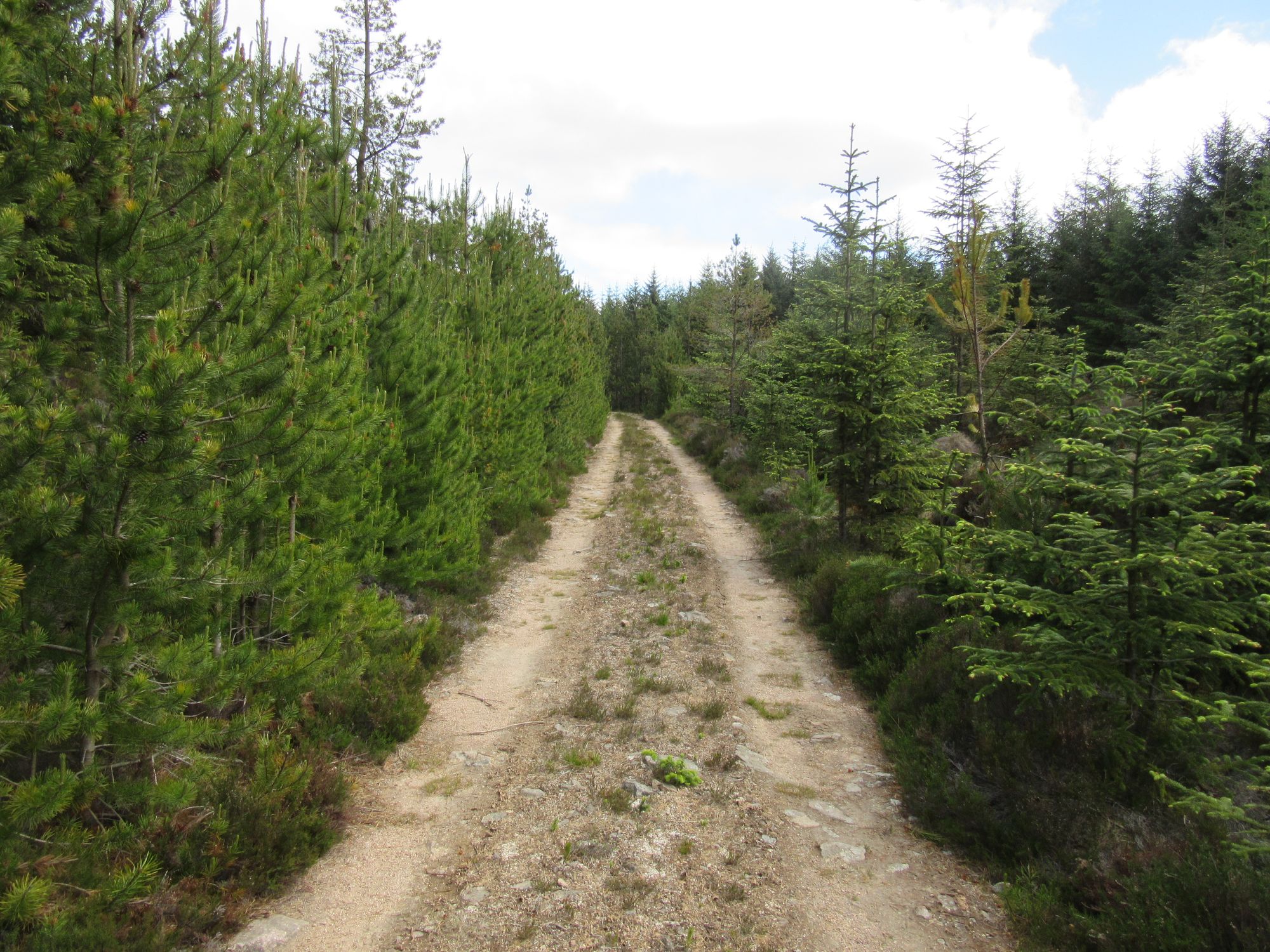 TGO Challenge 2025: Acharacle to Stonehaven via the 4000ers