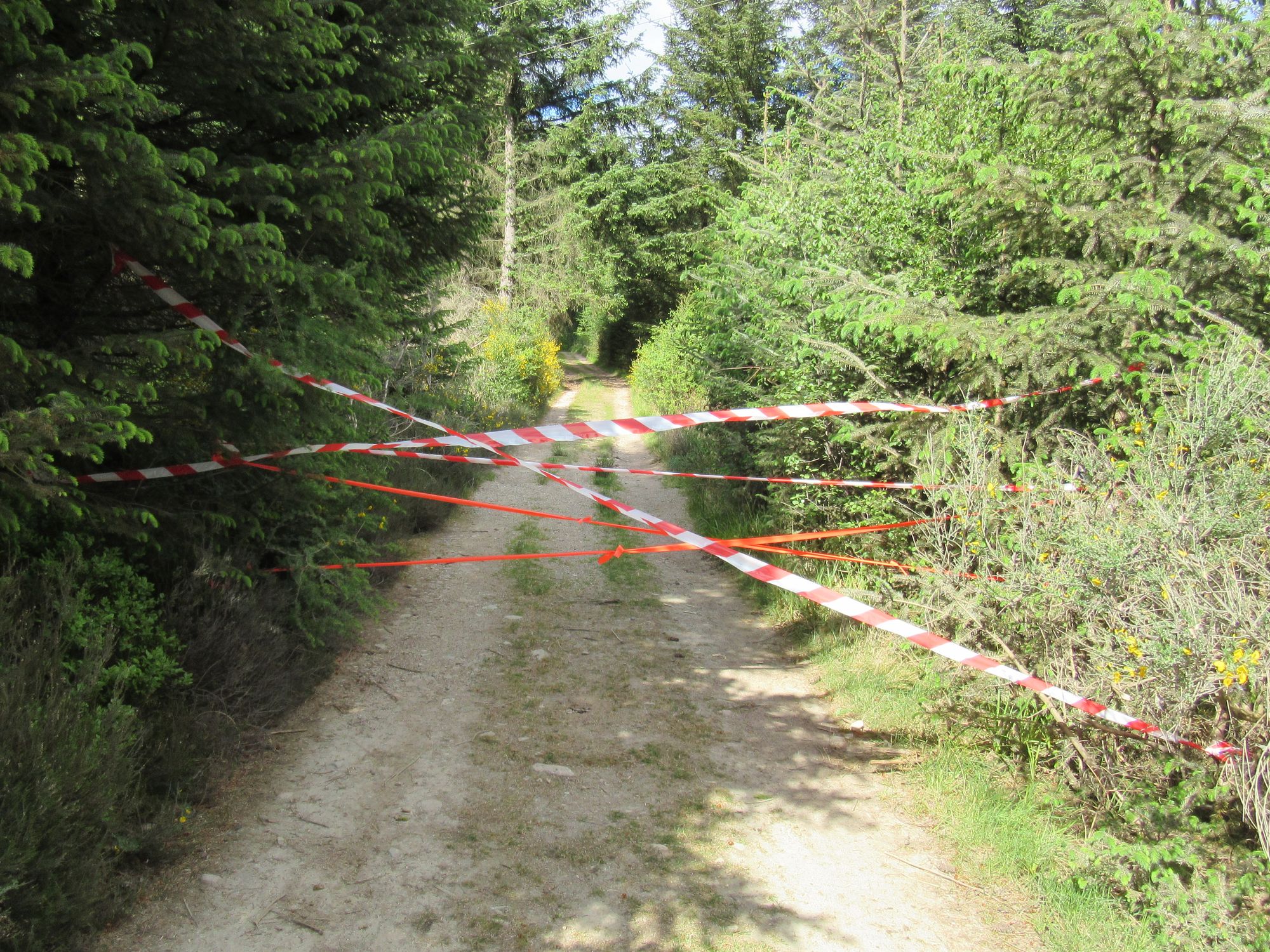 TGO Challenge 2025: Acharacle to Stonehaven via the 4000ers