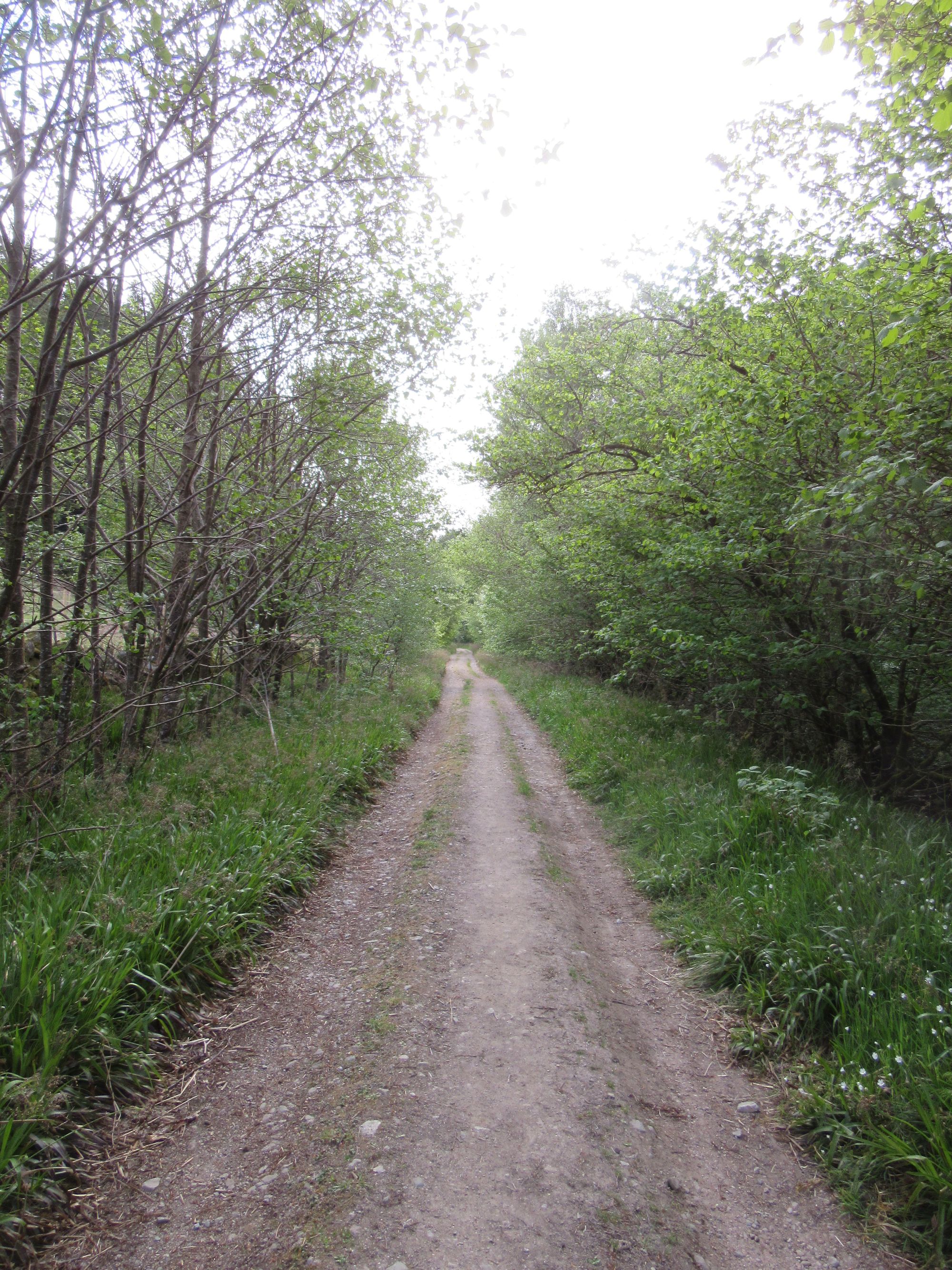 TGO Challenge 2025: Acharacle to Stonehaven via the 4000ers