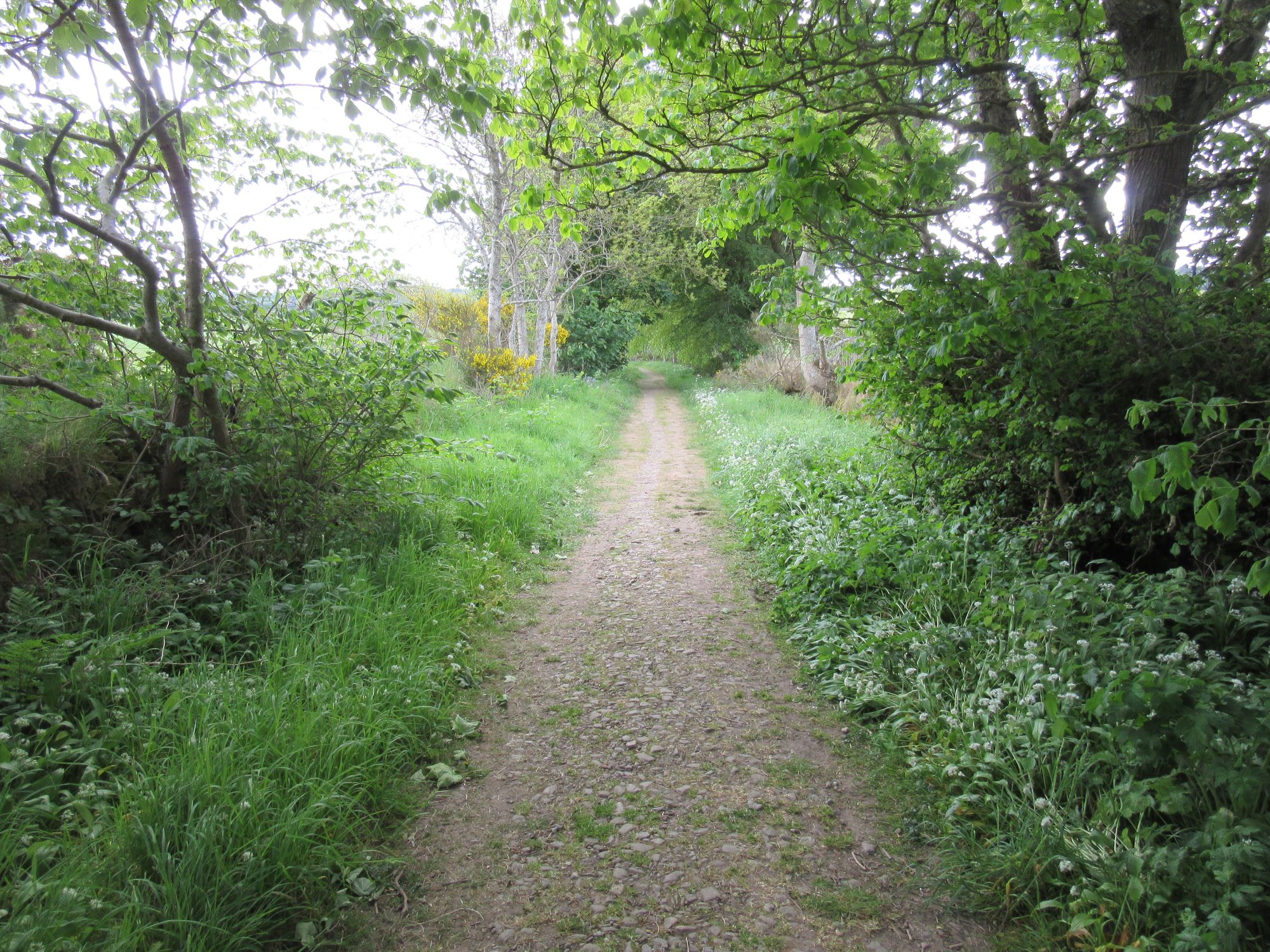 TGO Challenge 2025: Acharacle to Stonehaven via the 4000ers