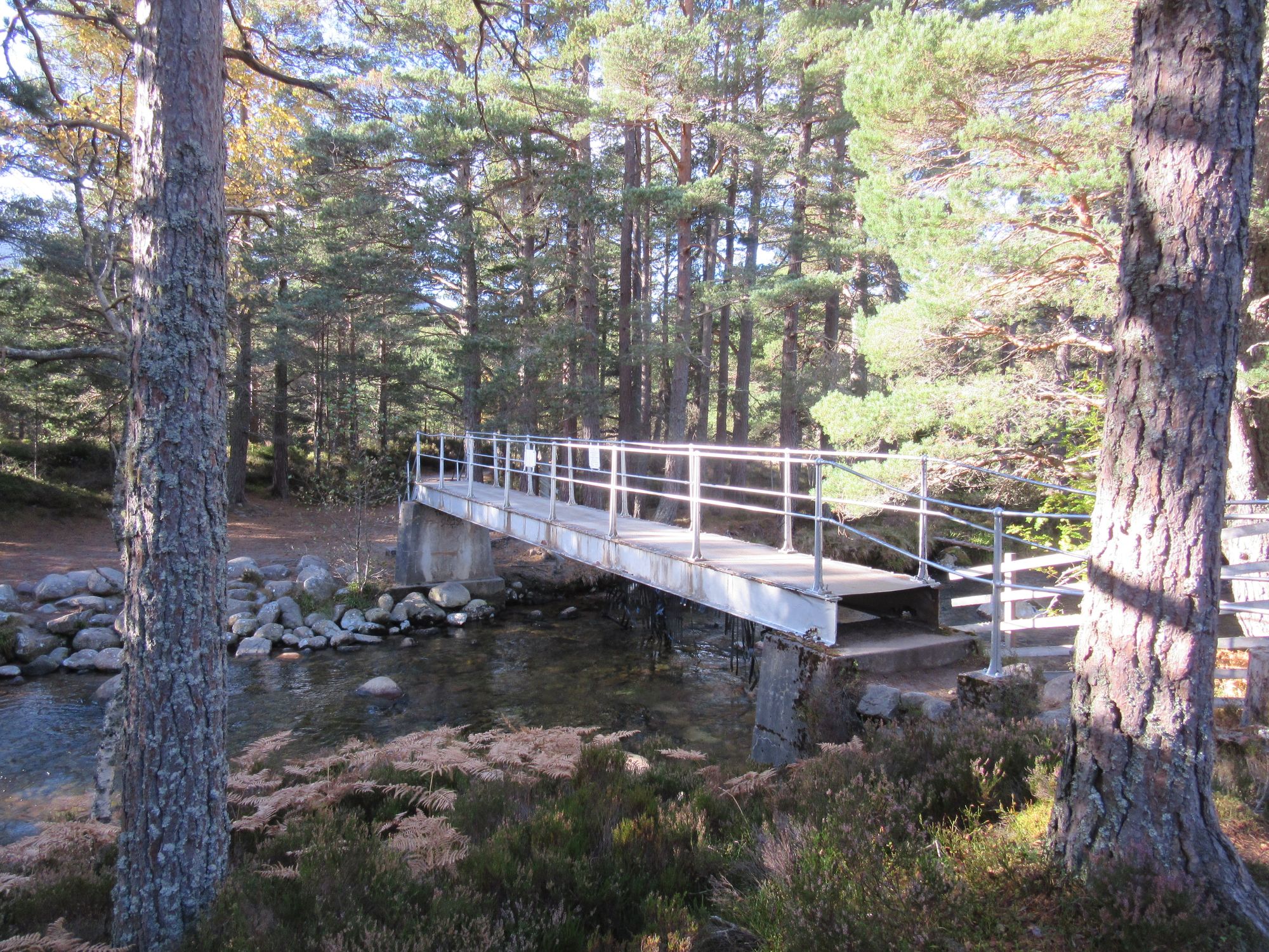 October 2025: Blair Atholl to Aviemore high level